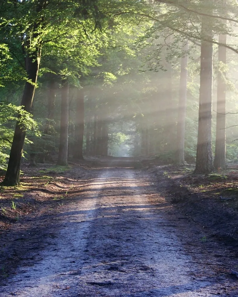 La nature : un trésor à préserver